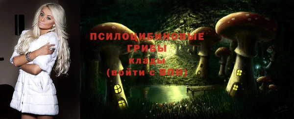 альфа пвп Сосновоборск