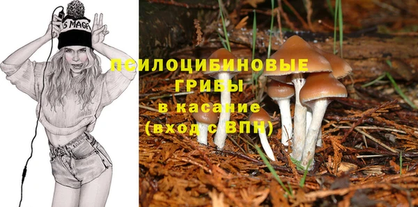 ПСИЛОЦИБИНОВЫЕ ГРИБЫ Пролетарск