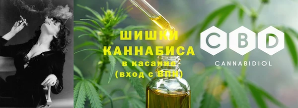 МДПВ Карпинск