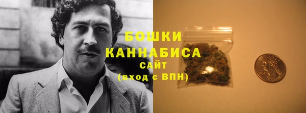 сатива Протвино