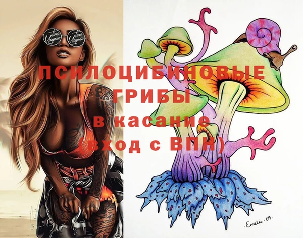 ПСИЛОЦИБИНОВЫЕ ГРИБЫ Пролетарск